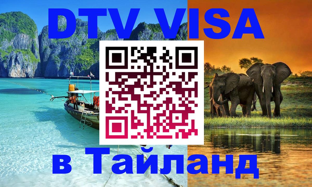 Оформление DTV визы под ключ: стоимость и тарифы, только загранпаспорт - 20.11.2025 